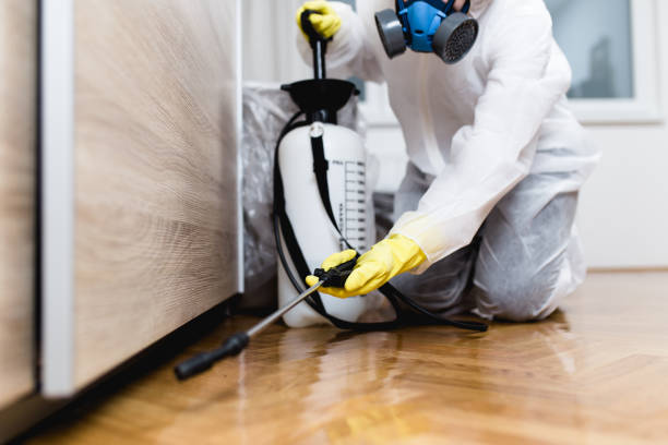Best Pest Control Near Me  in Unalaska, AK