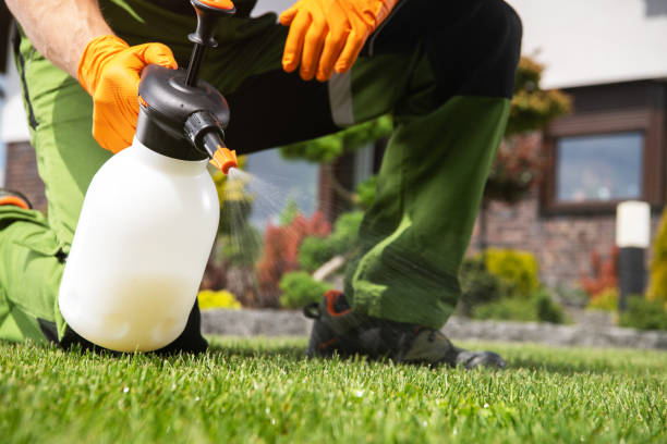 Best Flea Control Services  in Unalaska, AK