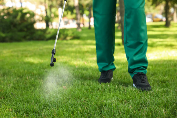 Best Wasp Removal Services  in Unalaska, AK