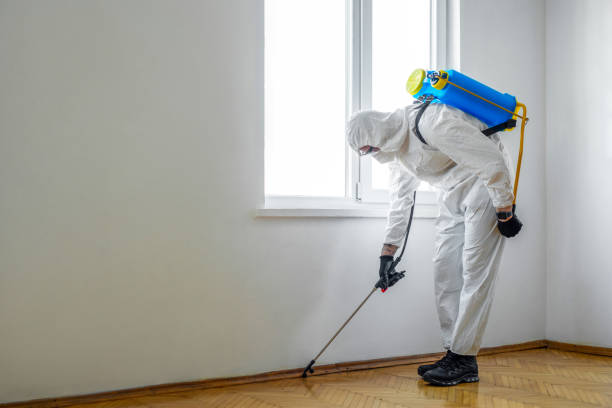 Best Best Pest Control Companies  in Unalaska, AK