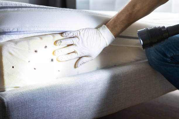 Best Pest Control for Homes  in Unalaska, AK