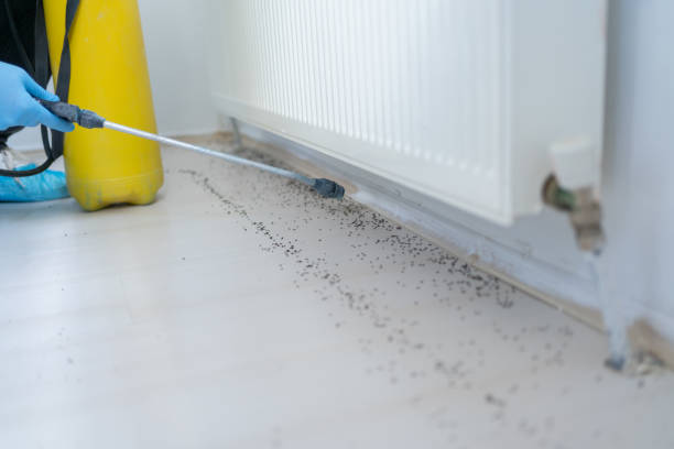 Best Bed Bug Extermination  in Unalaska, AK