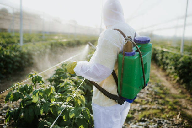 Best Cockroach Control Services  in Unalaska, AK